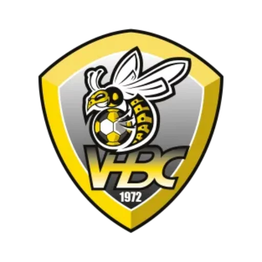 Villenave Handball Club